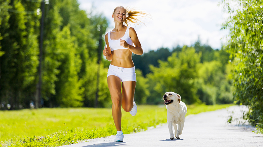 Hardlopen met hond - Zo doe je dat in stappen